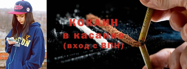 индика Белокуриха