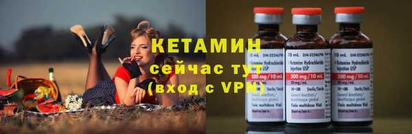 индика Белокуриха
