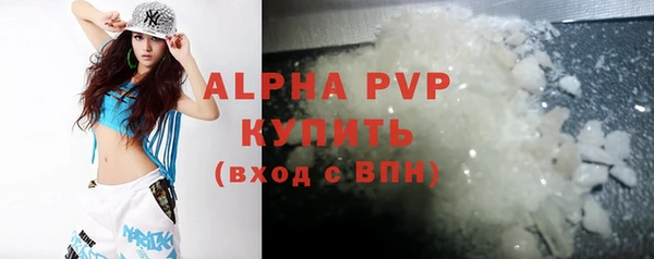 индика Белокуриха