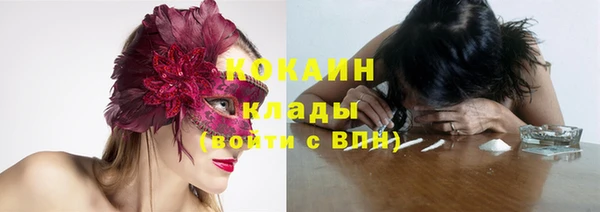индика Белокуриха