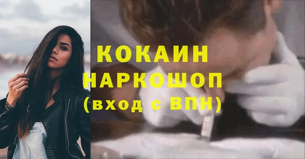 индика Белокуриха