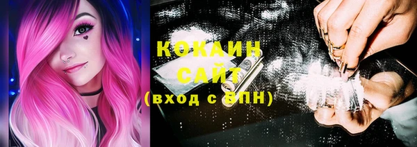 индика Белокуриха