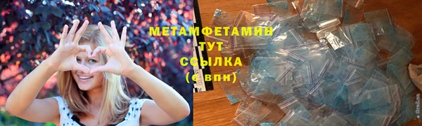 индика Белокуриха