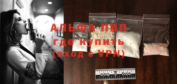 индика Белокуриха
