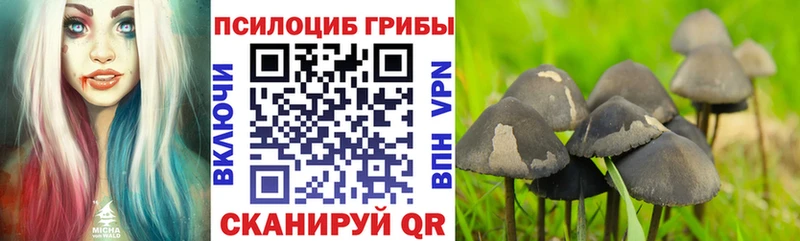 Галлюциногенные грибы ЛСД  продажа наркотиков  mega ССЫЛКА  Котельниково 